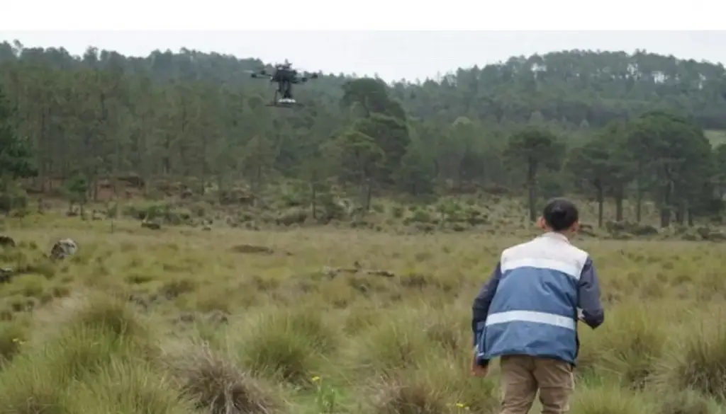 Imagen ¿Cómo será la reforestación de drones en zonas afectadas en Veracruz? 