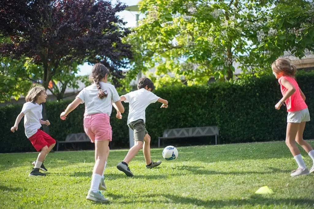 Imagen Deportes con pelota, zumba, activación física y otras actividades en cursos gratis en Veracruz 