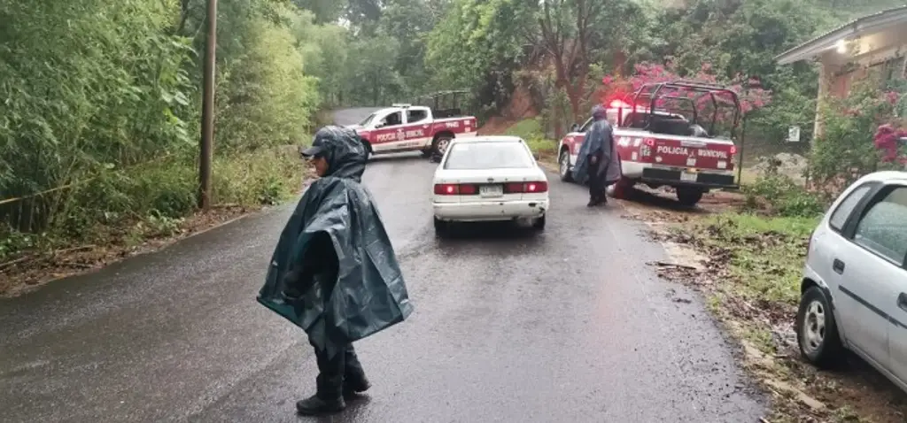 Imagen Niña muere al sacar la cabeza por la ventana del auto y ser golpeada por otro carro