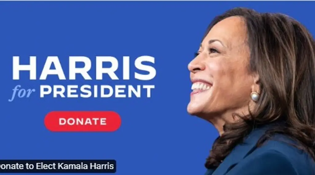 Imagen Kamala Harris tiene los votos necesarios para ser candidata: Partido Demócrata