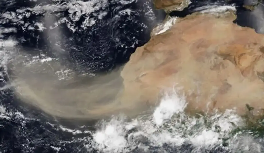 Imagen Polvo del Sahara llegaría a Veracruz; checa cuándo 