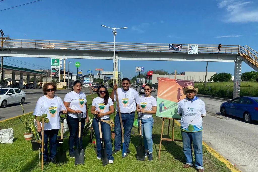 Imagen Realizan jornada de fertilización en camellón de Veracruz, piden sumarse al cuidado de arbolitos