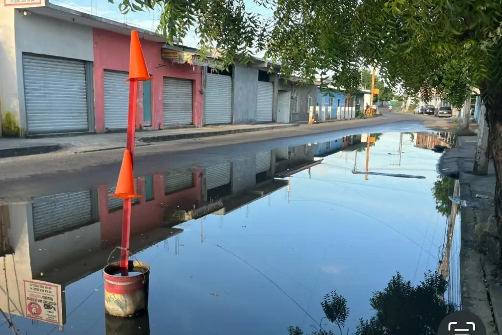 Imagen Agua estancada genera la creación de mosquitos en Veracruz