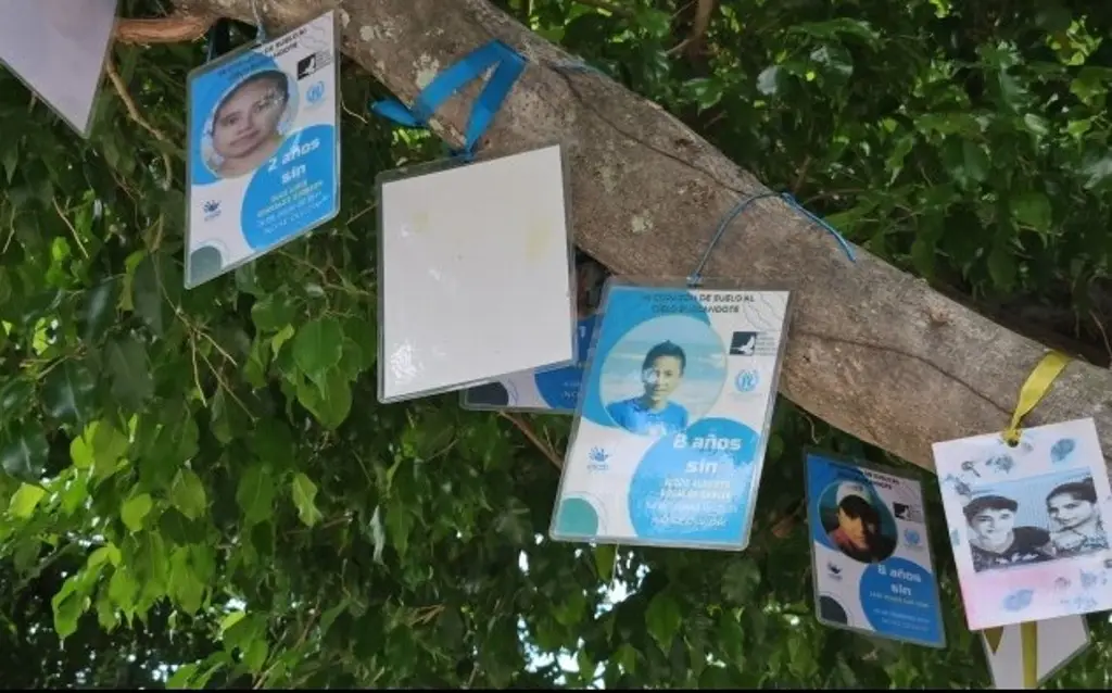 Imagen Identifican y entregan restos de al menos 3 personas desaparecidas al norte de Veracruz