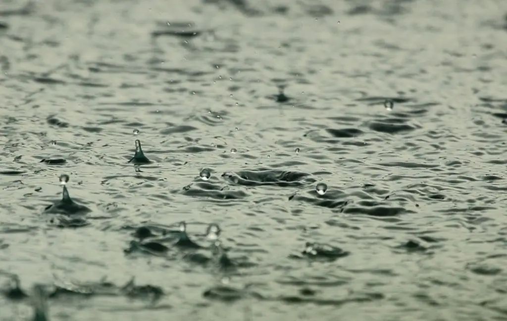 Imagen Prevén lluvias en 10 estados, entre ellos Veracruz