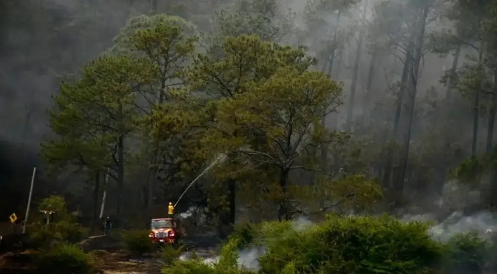 Imagen Presentan sistema para detectar incendios de manera precoz