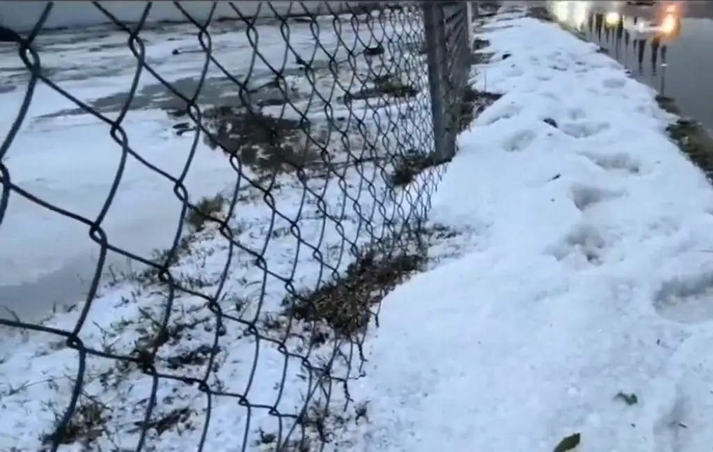 Imagen Sorpresiva y fuerte granizada pinta de blanco las calles (+Video)