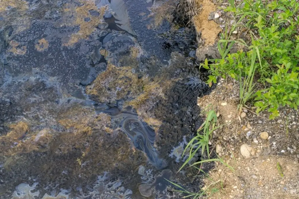 Imagen CNDH emite recomendación por no investigar contaminación por hidrocarburos en Pánuco