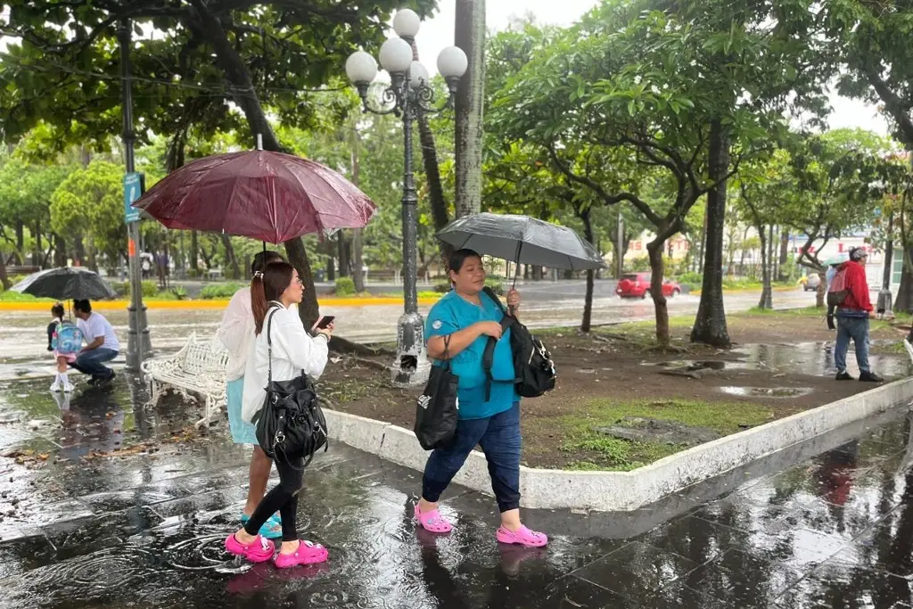 Imagen ¿Las lluvias seguirán en Veracruz? Esto dicen meteorólogos