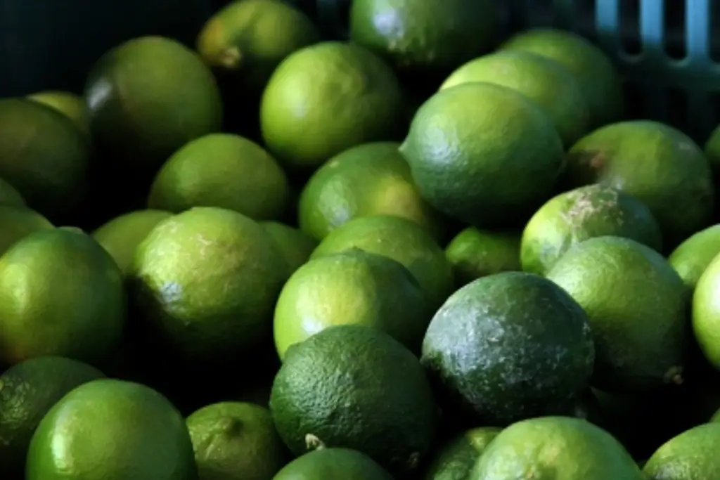 Imagen Gobierno de Michoacán tomará control del Tianguis Limonero tras denuncias de extorsión