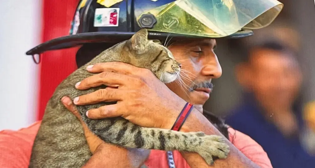 Imagen Hoy es día del Bombero