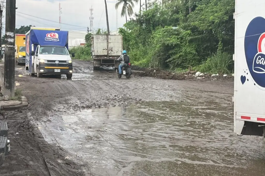 Imagen En deplorables condiciones calles de Ciudad  Industrial en Veracruz 