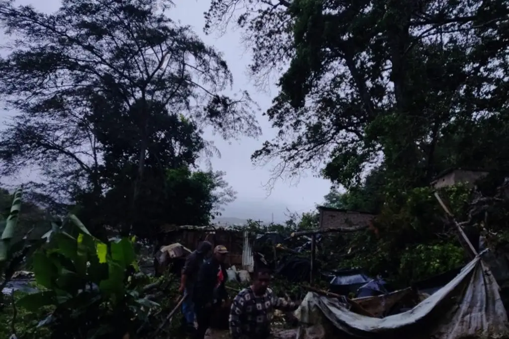 Imagen Reportan caída de árboles y cortes de energía eléctrica por temporal lluvioso en Xalapa