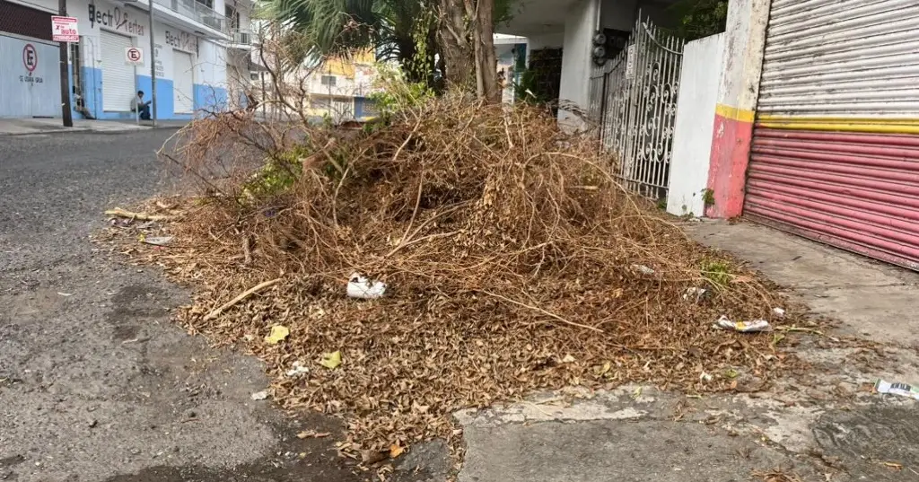 Imagen Se quejan vecinos por basura que dejaron tras derramar árboles 