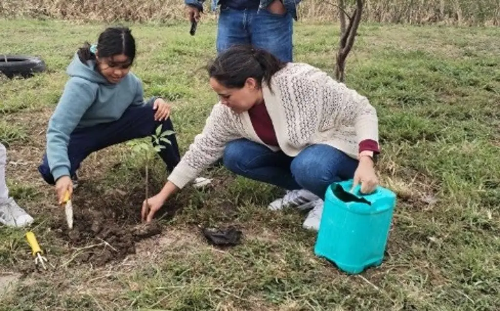 Imagen Invitan a ciudadanos a unirse a siembra de árboles en Boca del Río