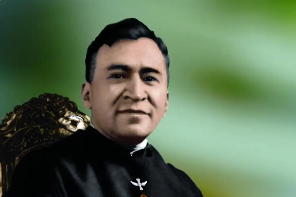 Imagen Papa Francisco celebra beatificación del mexicano Moisés Lira Serafín