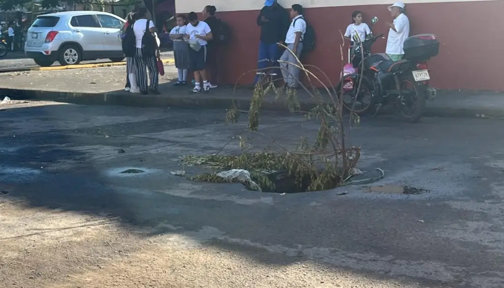 Imagen Socavón cerca de escuela primaria en Veracruz 