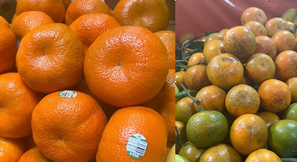 Imagen Mandarina Importada o Nacional, ¿Cuál prefieres?