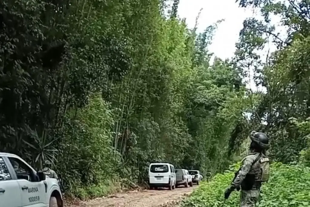 Imagen Colectivo Solecito inicia en búsqueda de fosas clandestinas en Huatusco, Veracruz 