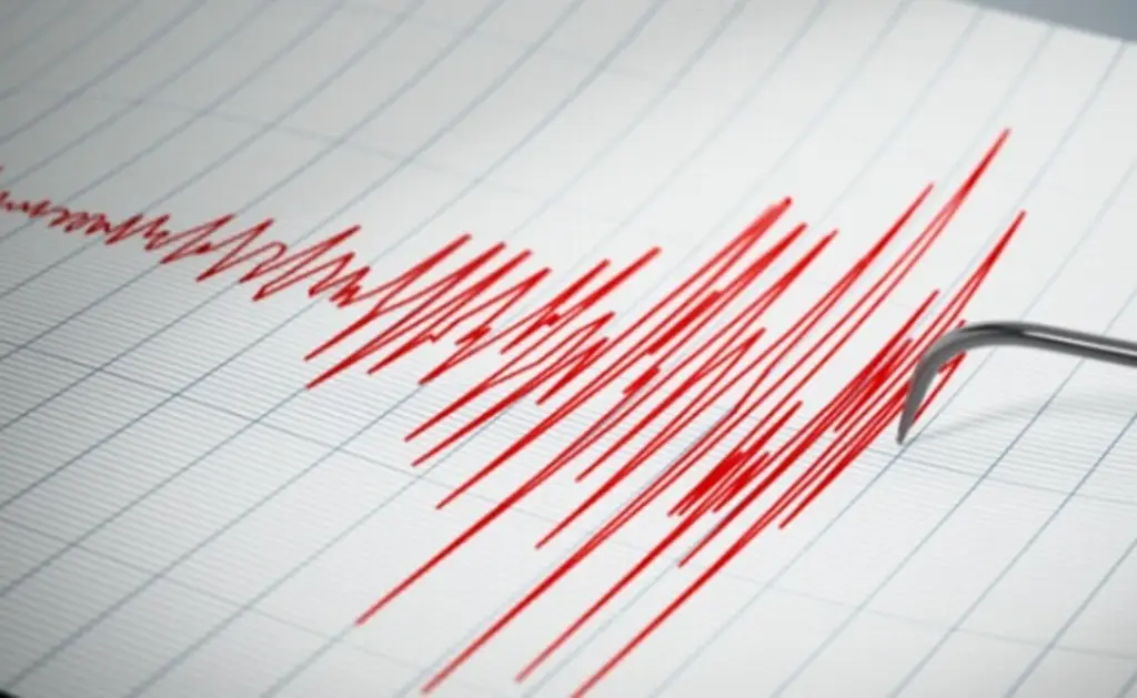 Imagen Tsunami de medio metro alcanza islas al sur de Tokio tras terremoto de magnitud 5.9