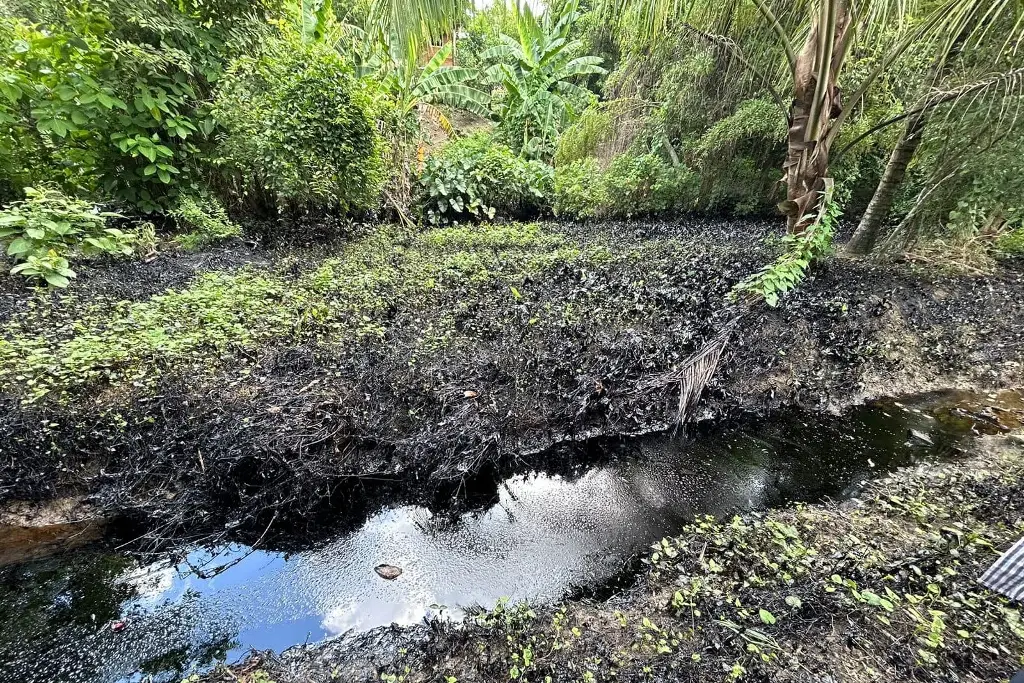 Imagen En el norte de Veracruz reportan contaminación de arroyo por derrame de crudo 