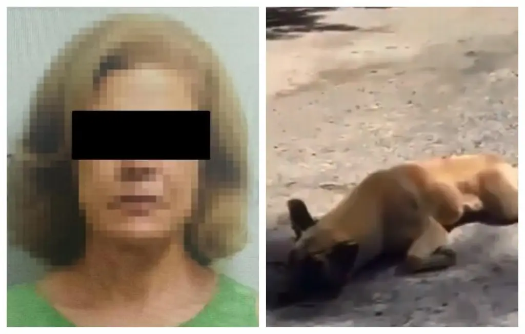 Imagen A prisión mujer que arrastró a perrito con su camioneta (+Video)