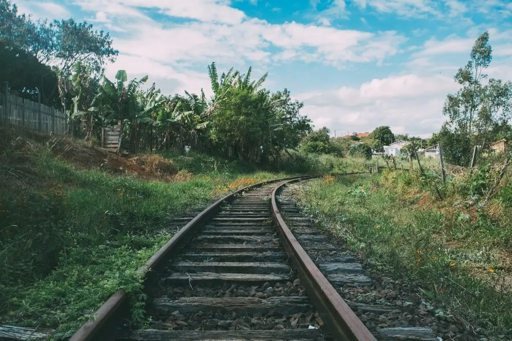 Imagen Suman 3 días bloqueadas las vías del tren Veracruz - CDMX; advierten afectaciones