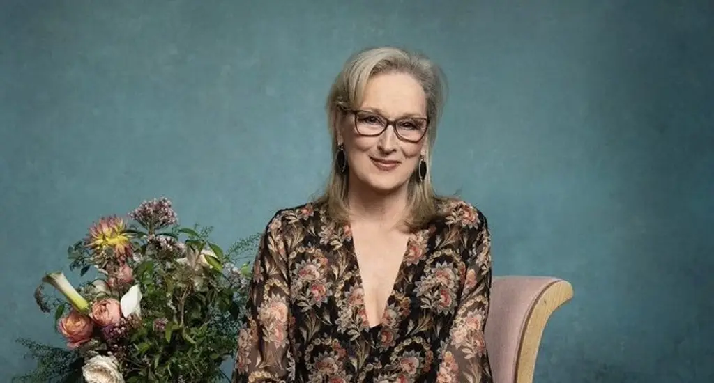 Imagen Meryl Streep protagonizará la adaptación de la aclamada novela 'The Corrections'