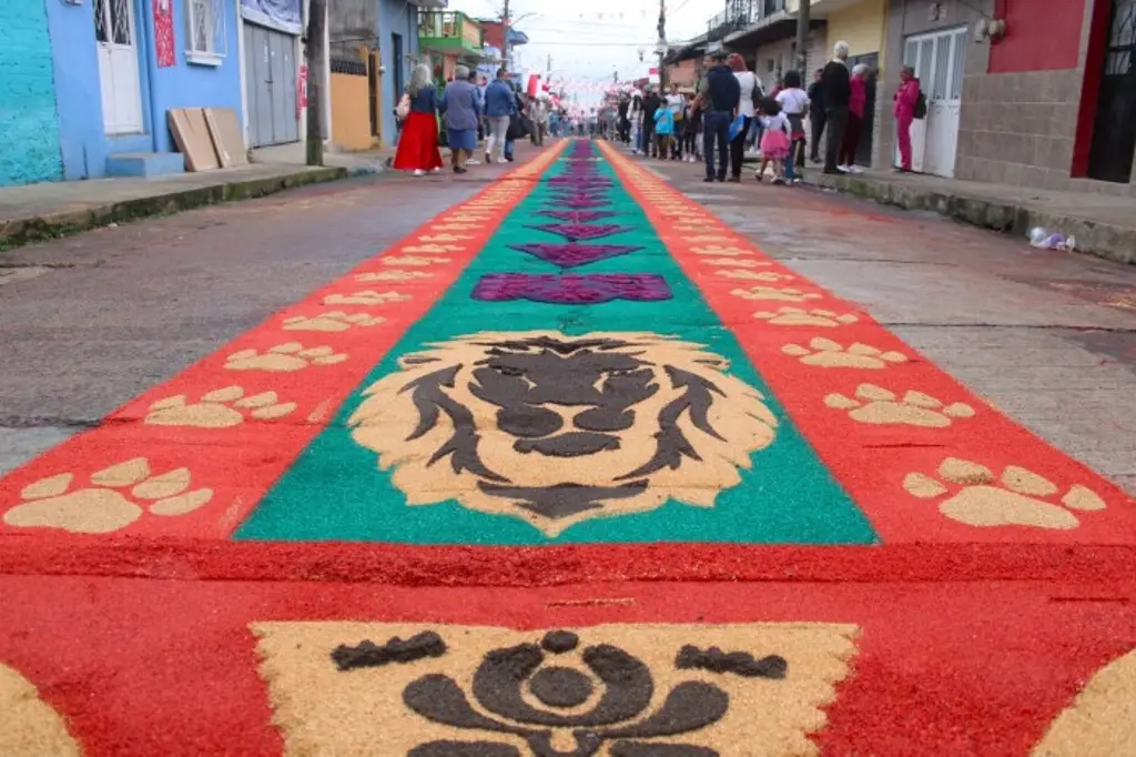 Imagen Instalan tapete de aserrín en honor a San Jerónimo en Coatepec, Veracruz 