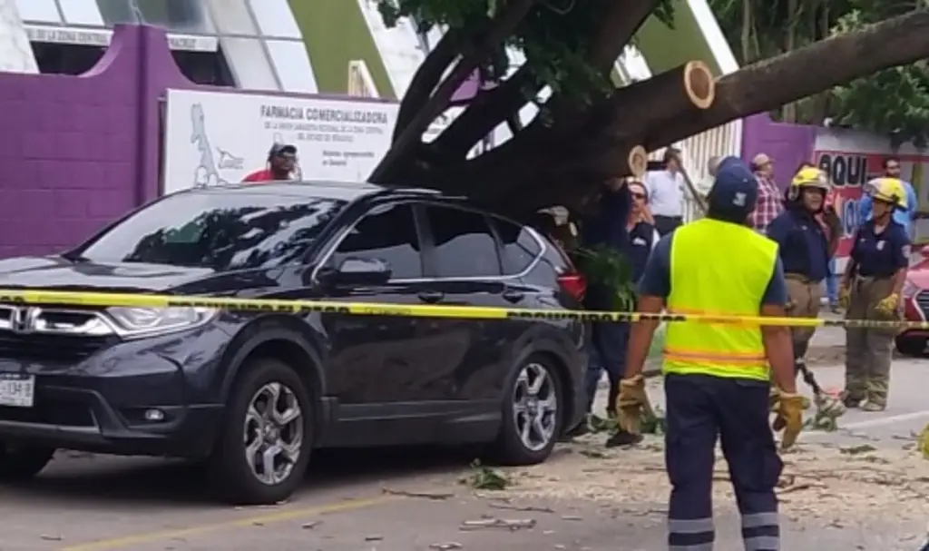 Imagen Enorme árbol cae encima de camioneta en avenida de Boca del Río 