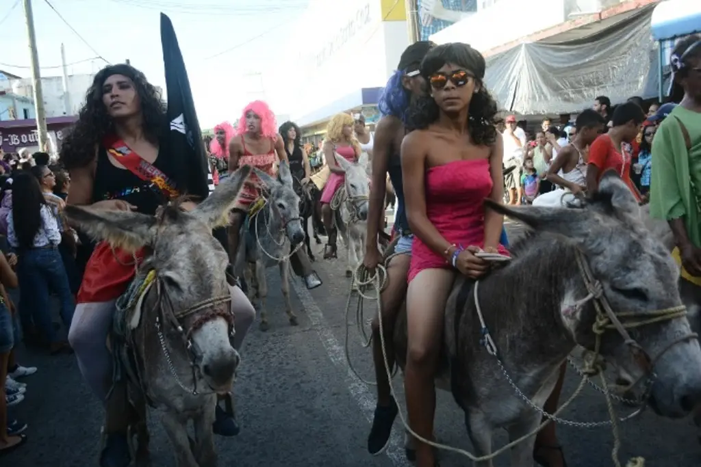 Imagen Celebrarán el Encierro de Burros en su edición 134 en Alvarado