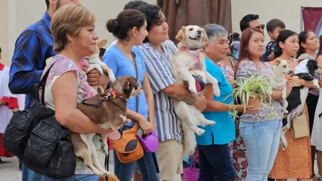 Imagen Ciudadanos bendicen a su mascota al norte de Veracruz 