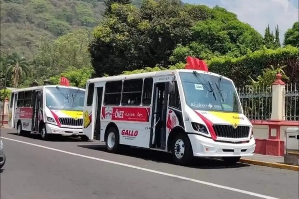 Imagen Ayuntamiento de Orizaba pone en operación servicio sin costo de pasaje diurno y nocturno