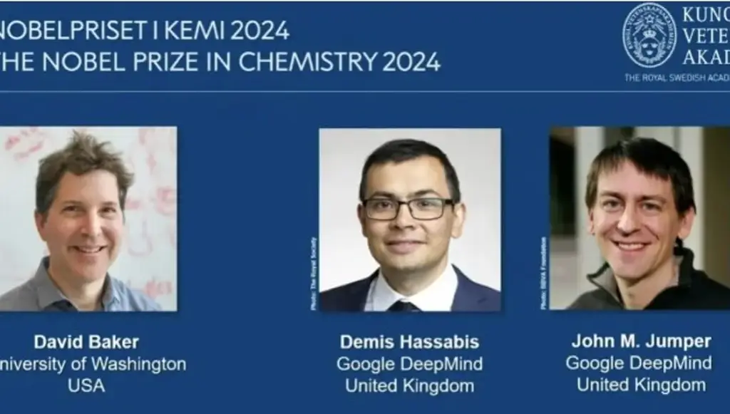 Imagen Nobel de Química 2024 para científicos que han descifrado la estructura de las proteínas