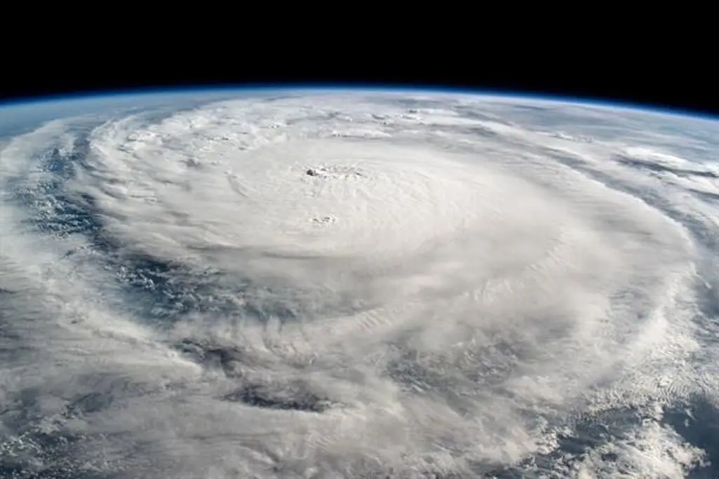 Imagen Huracán 'Milton' causa inundaciones repentinas en Tampa, EU, tras tocar tierra