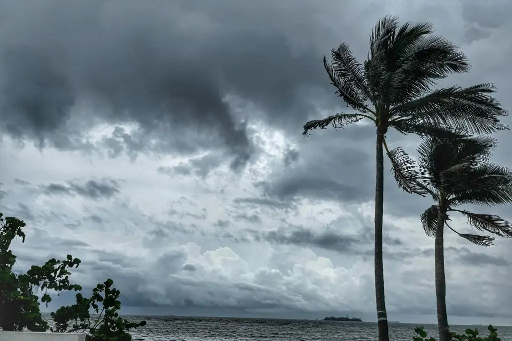 Imagen Seguirá el viento de dirección norte en Veracruz - Boca del Río; ¿Lloverá?