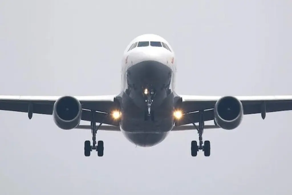 Imagen Le da un infarto al piloto en pleno vuelo y pasajera termina aterrizando el avión