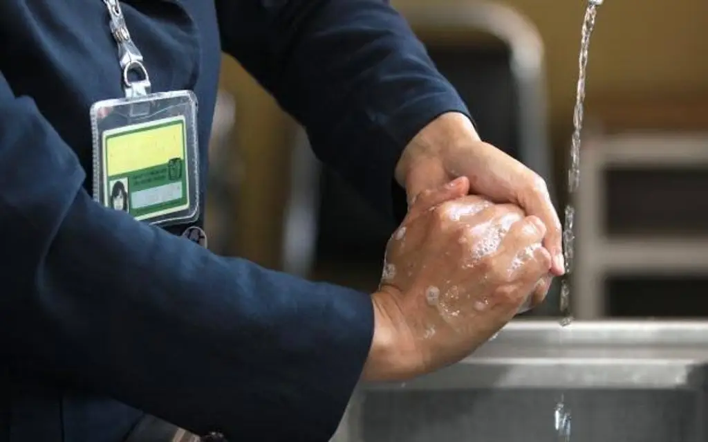 Imagen Lavarse las manos salva vidas ¿Cuántas veces se deben lavar al día?