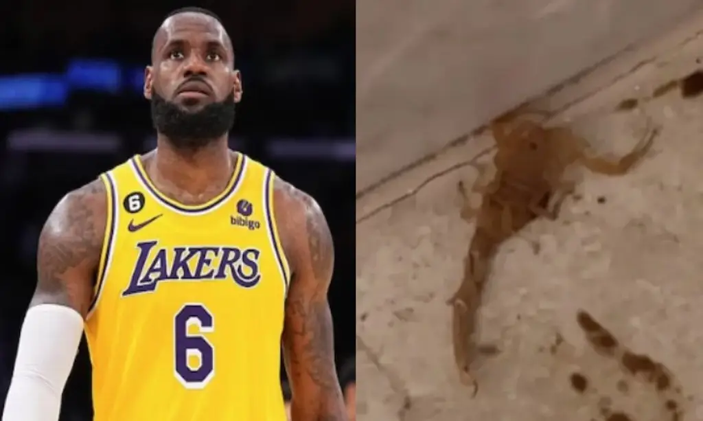 Imagen LeBron James estuvo a punto de ser picado por un escorpión 