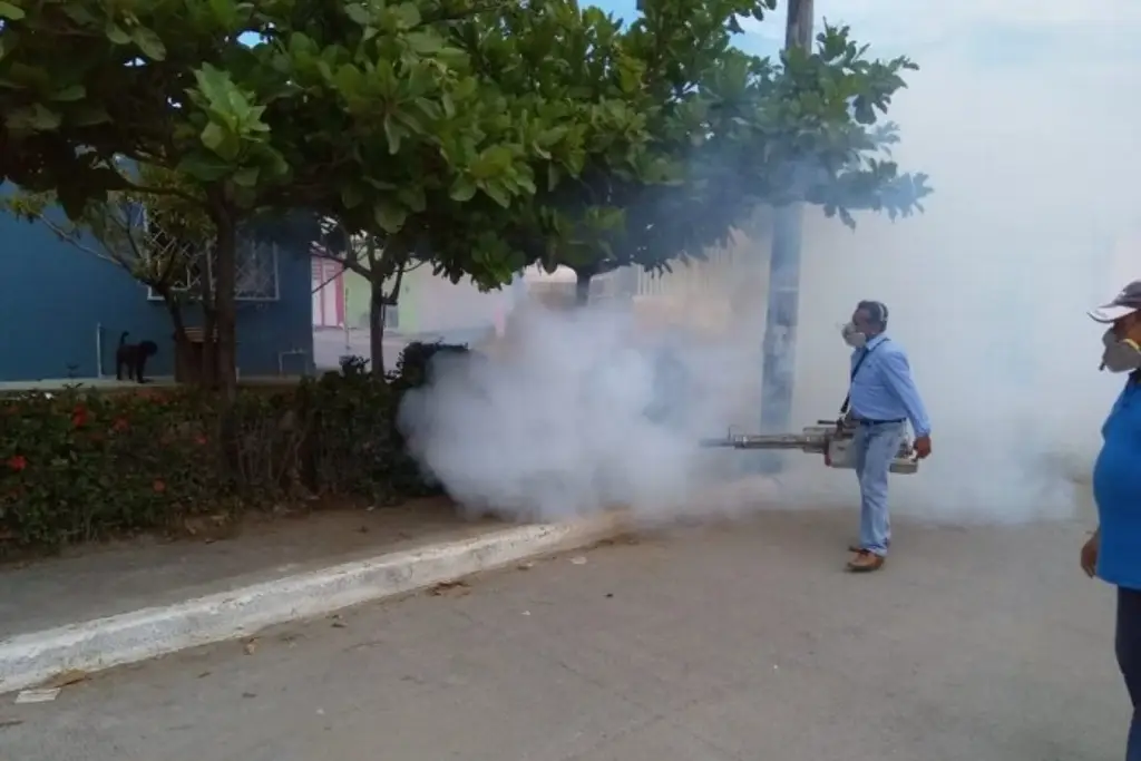 Imagen Se triplican muertes por dengue en Veracruz 