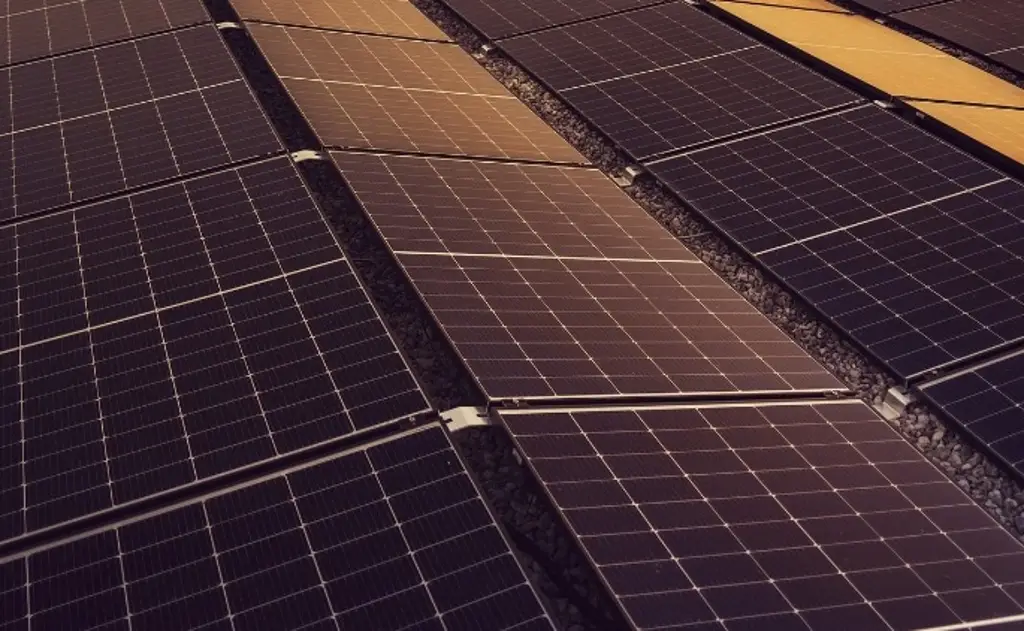 Imagen ¿Cómo evitar fraudes en la instalación de paneles solares en Veracruz?