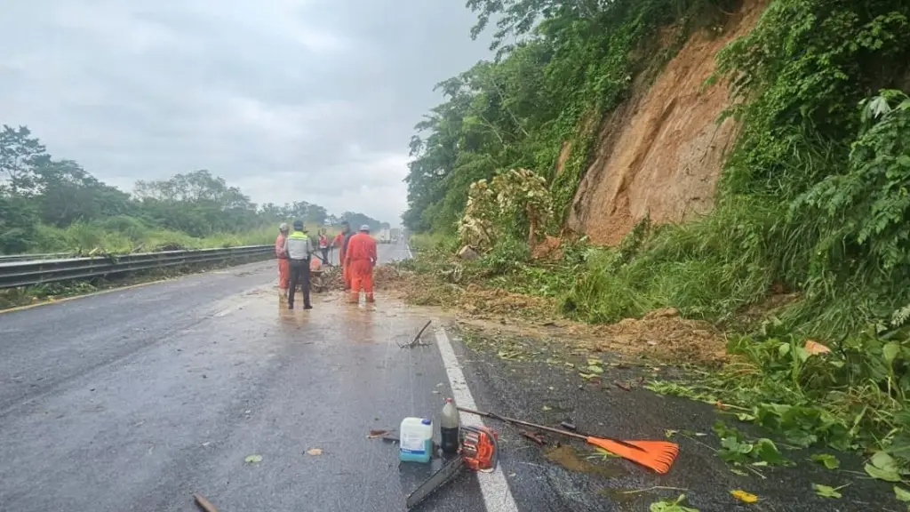 Imagen Cierre parcial por caída de árbol y deslave en autopista de Veracruz