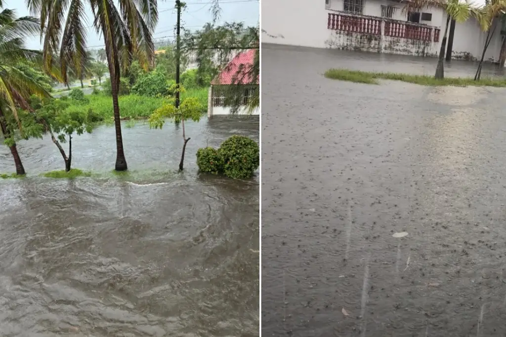 Imagen ¿Cómo se encuentra el Floresta ante la lluvia?