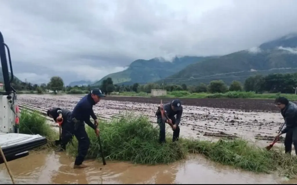 Derrumbes, inundaciones y deslizamientos de tierra dejan lluvias en 5 municipios de Veracruz 