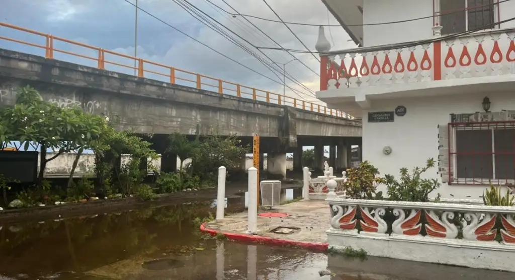 Imagen Familias se refugian debajo del puente Allende en Veracruz 