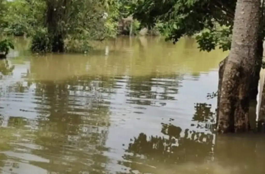 Imagen Se desborda río San Juan en Hueyapan de Ocampo, al sur de Veracruz: Conagua
