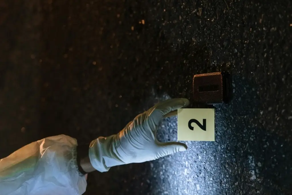 Imagen Criminólogos 'no se dan abasto' por violencia e inseguridad