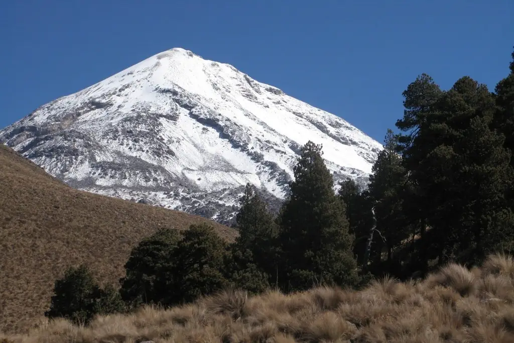 Imagen Califican como 'catastrófica' deforestación del Pico de Orizaba, lo que provoca deslaves