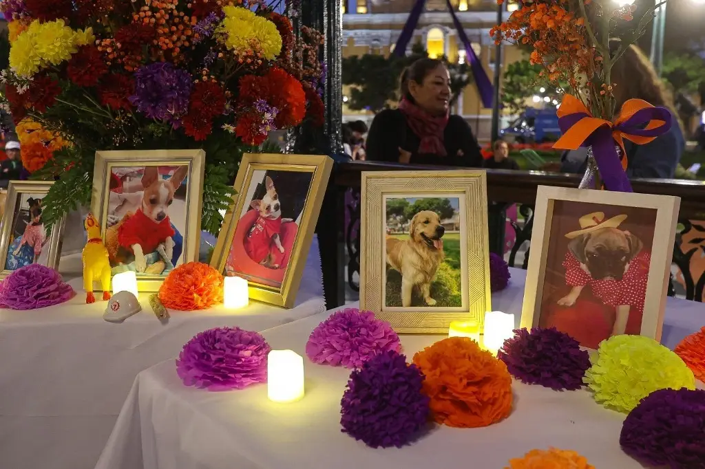 Imagen ¿Por qué se incluyen las mascotas en el altar de muertos?