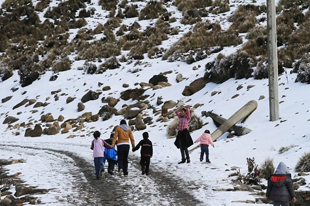 Imagen ¿Cuántas tormentas invernales se prevén para México?, este mes llegaría la primera